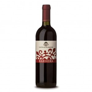 Vino Rosso Barbera DOC Vivace Colli Piacentini Cantina di Vicobarone - 750 ml