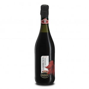 Lambrusco di Modena Secco DOC Civ&Civ - 750 ml